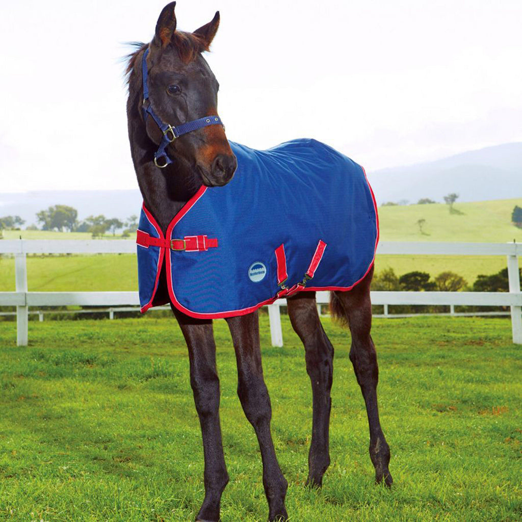 Original 1200D Foal Standard Neck 220g Medium Weight Blue