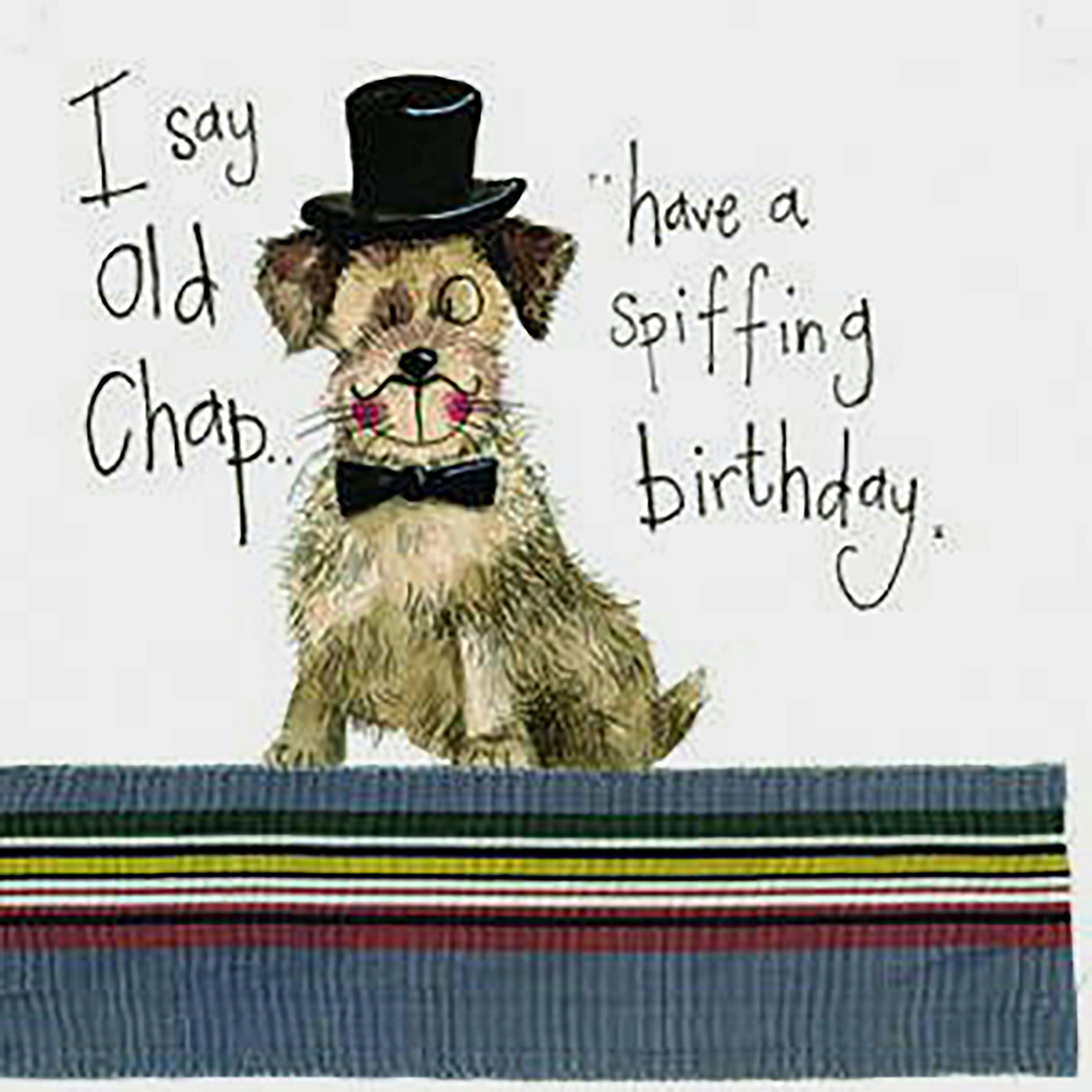 Sparkle Card Posh Paws