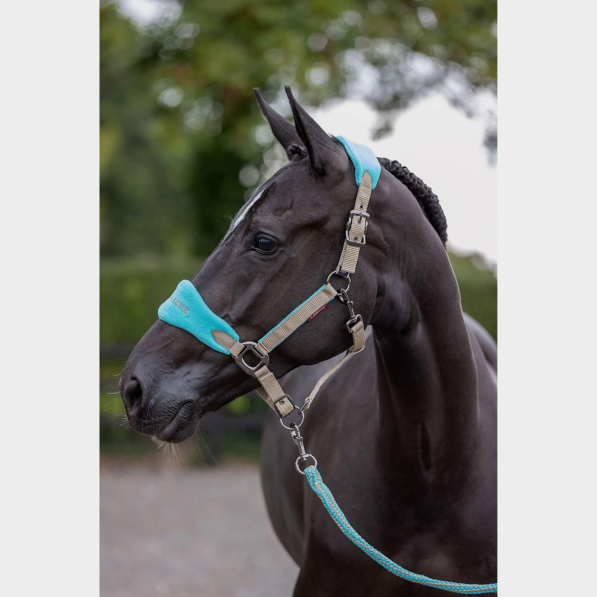 Vogue Fleece Headcollar & Leadrope Azure