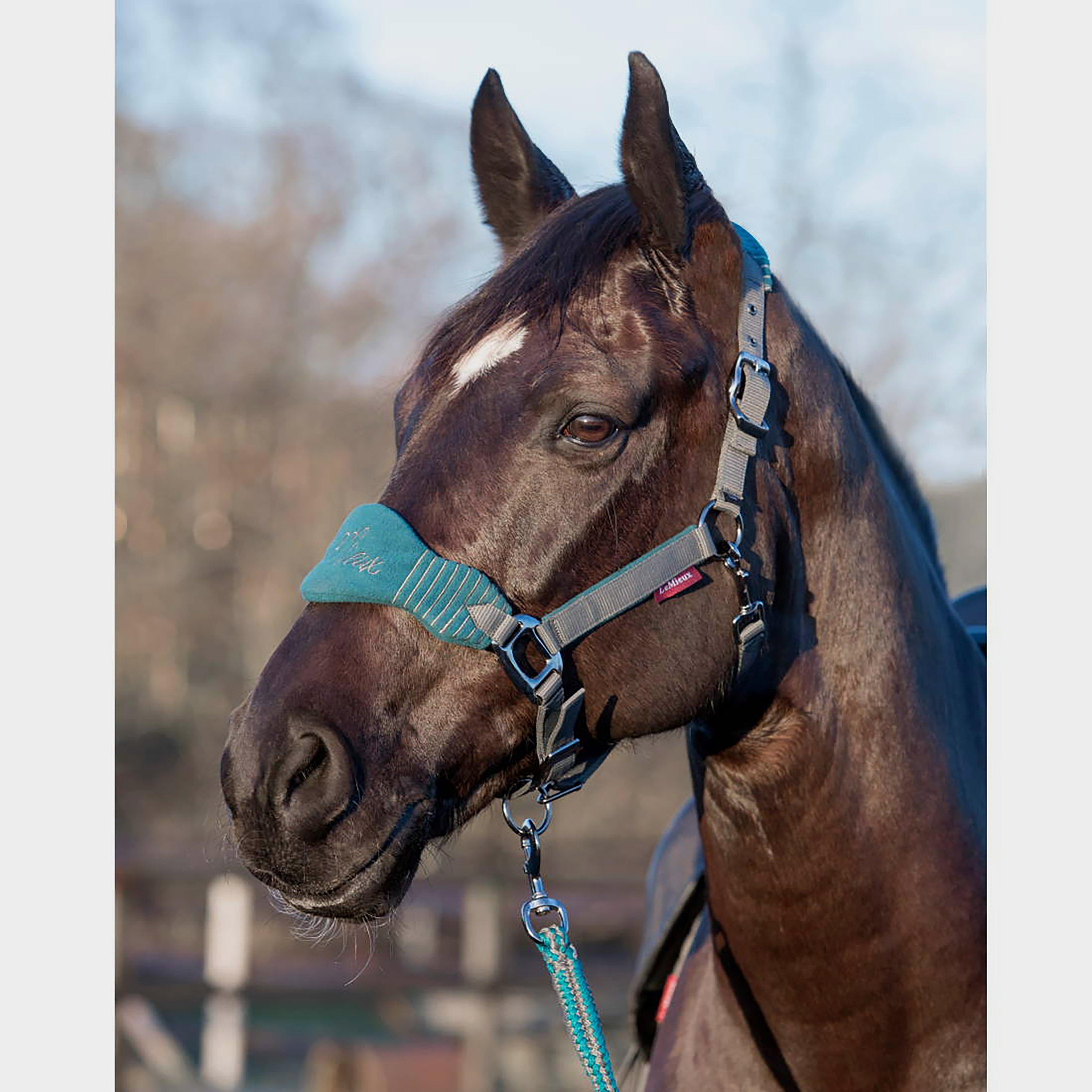 Vogue Fleece Headcollar & Leadrope Peacock Green/Grey