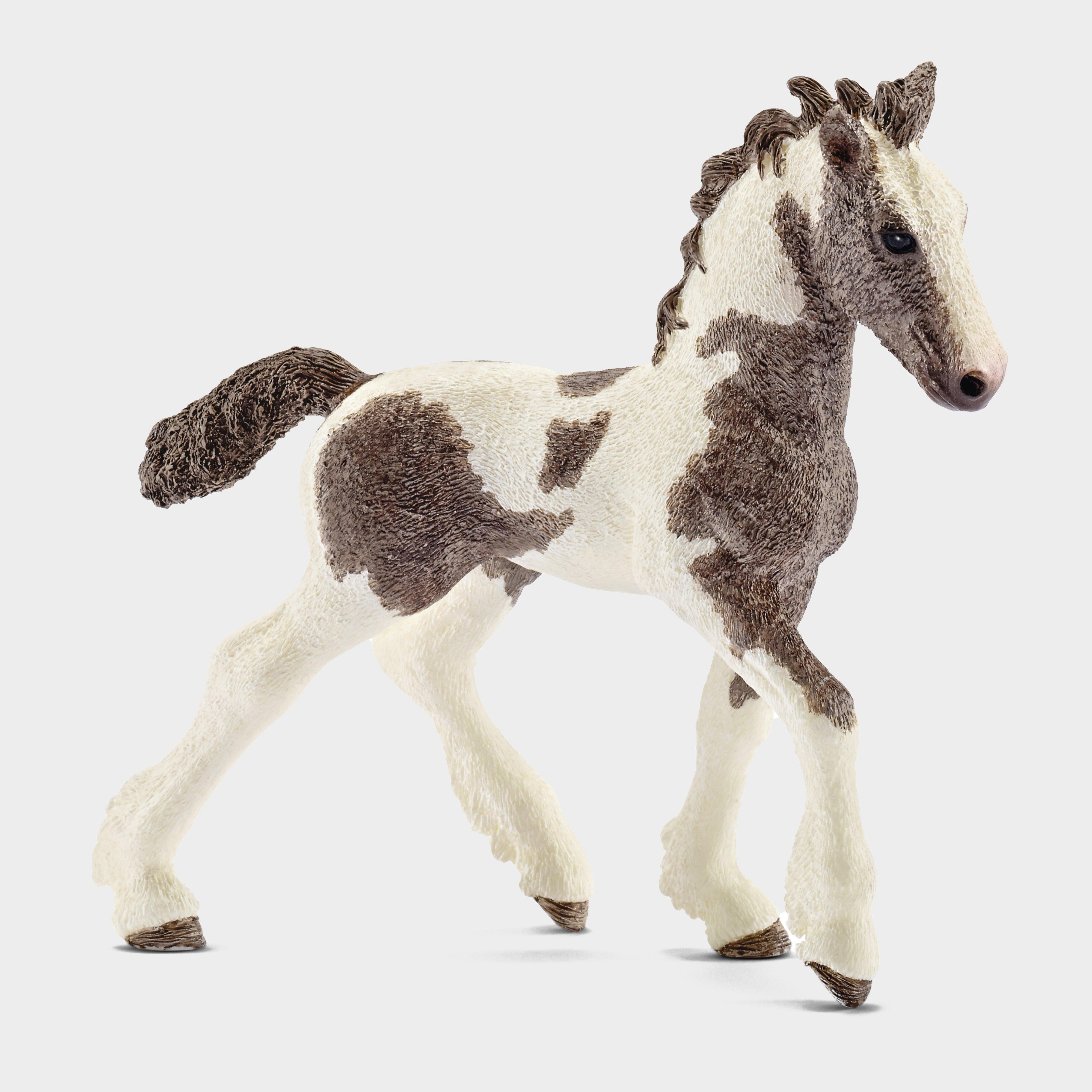 Tinker Foal