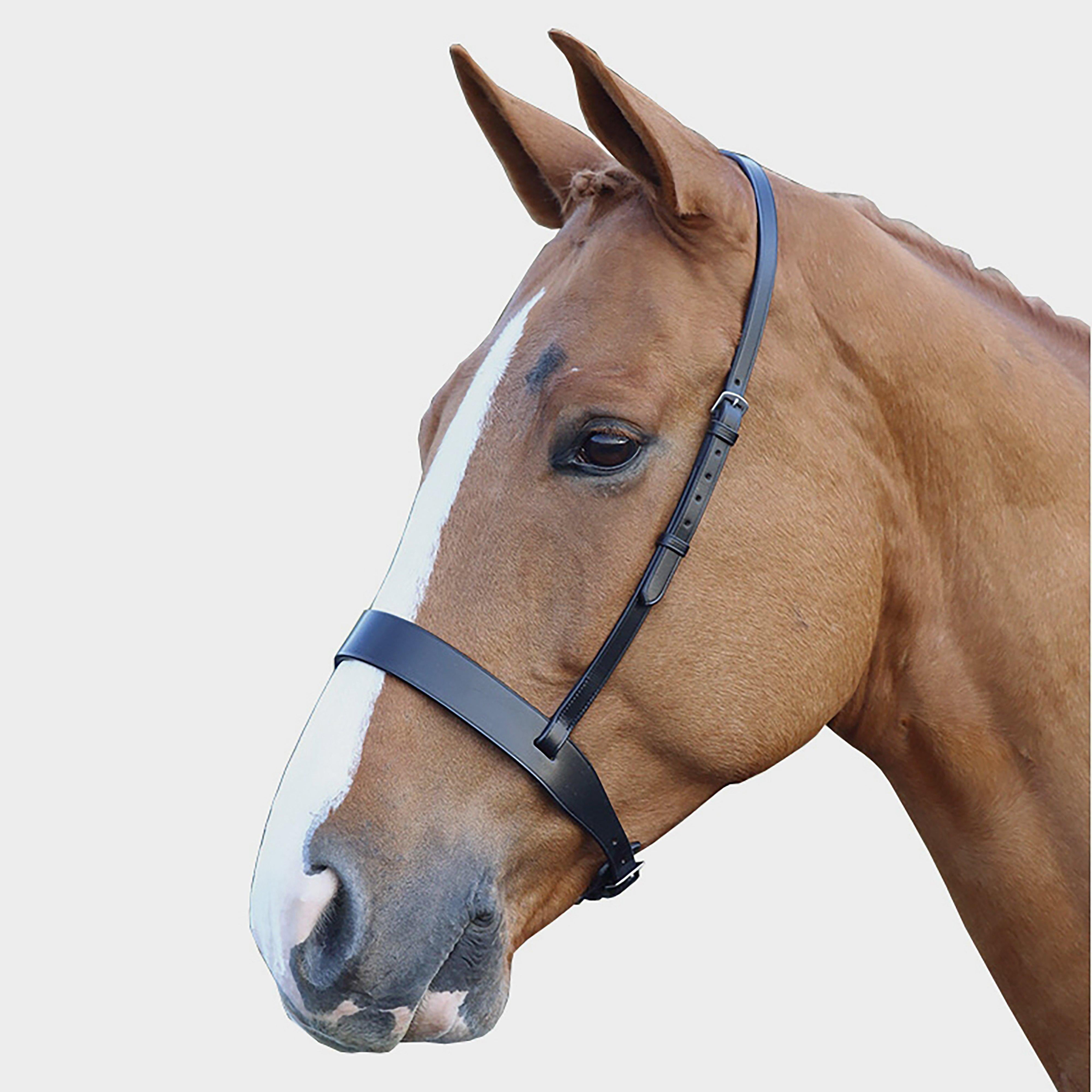 Blenhiem Wide Hunter Cavasson Noseband Black