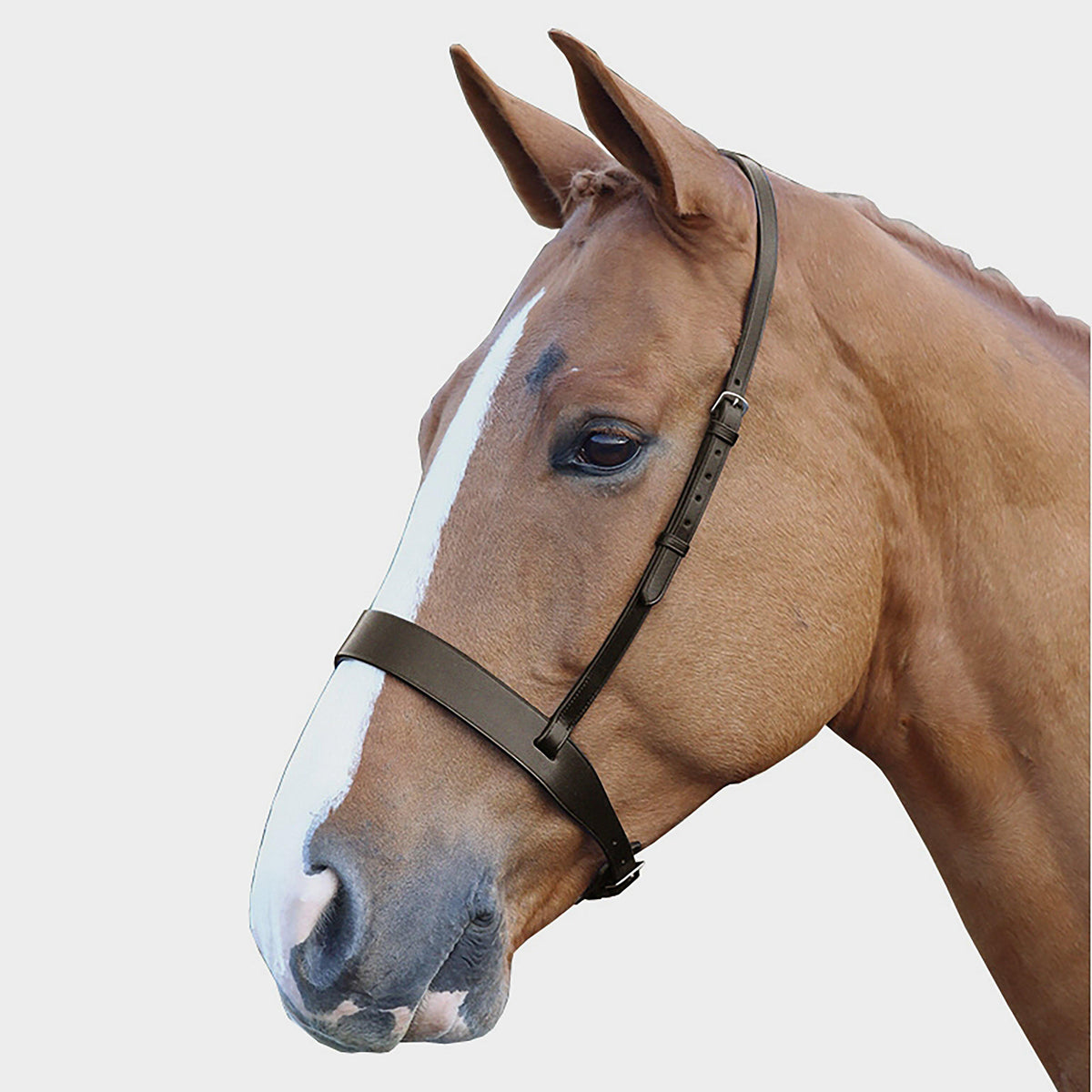 Blenhiem Wide Hunter Cavasson Noseband Havana