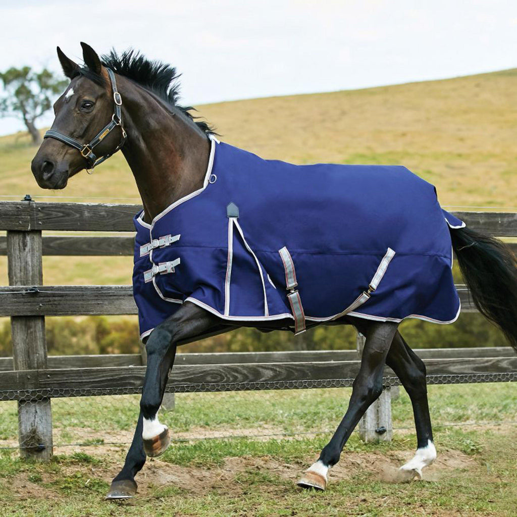ComFiTec Essential 220g Medium Weight Standard Neck Turnout Rug Navy/Silver