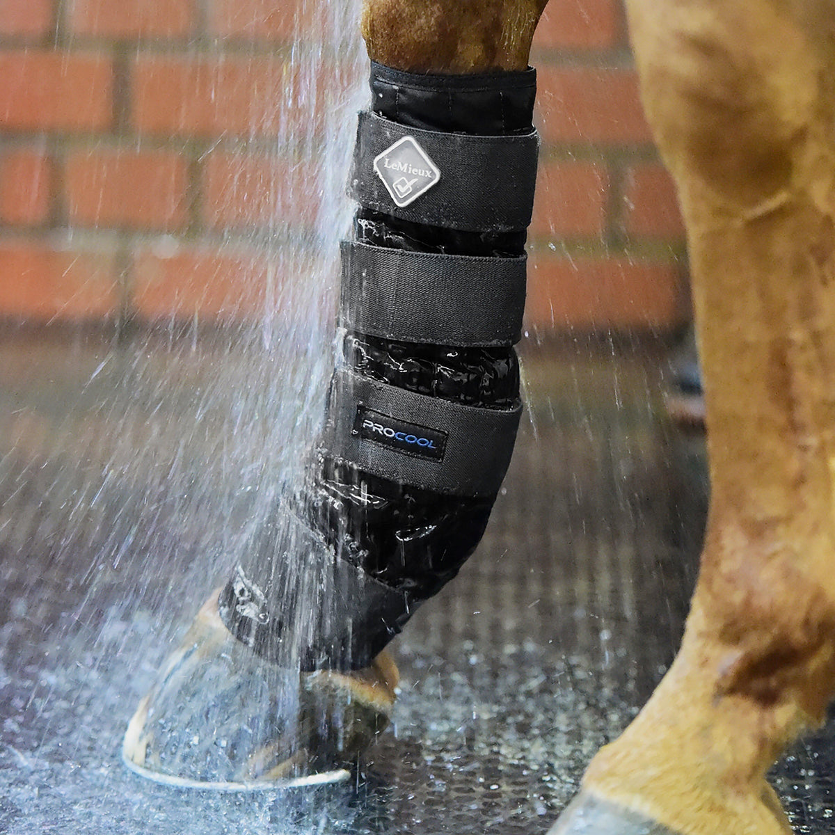 ProCool Cold Water Boots Black