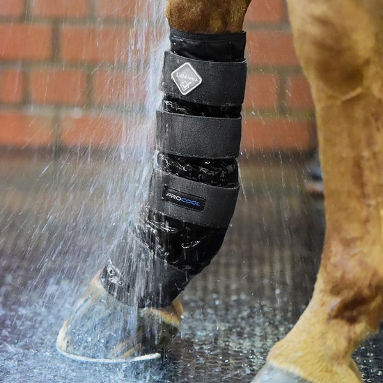 ProCool Cold Water Boots Black