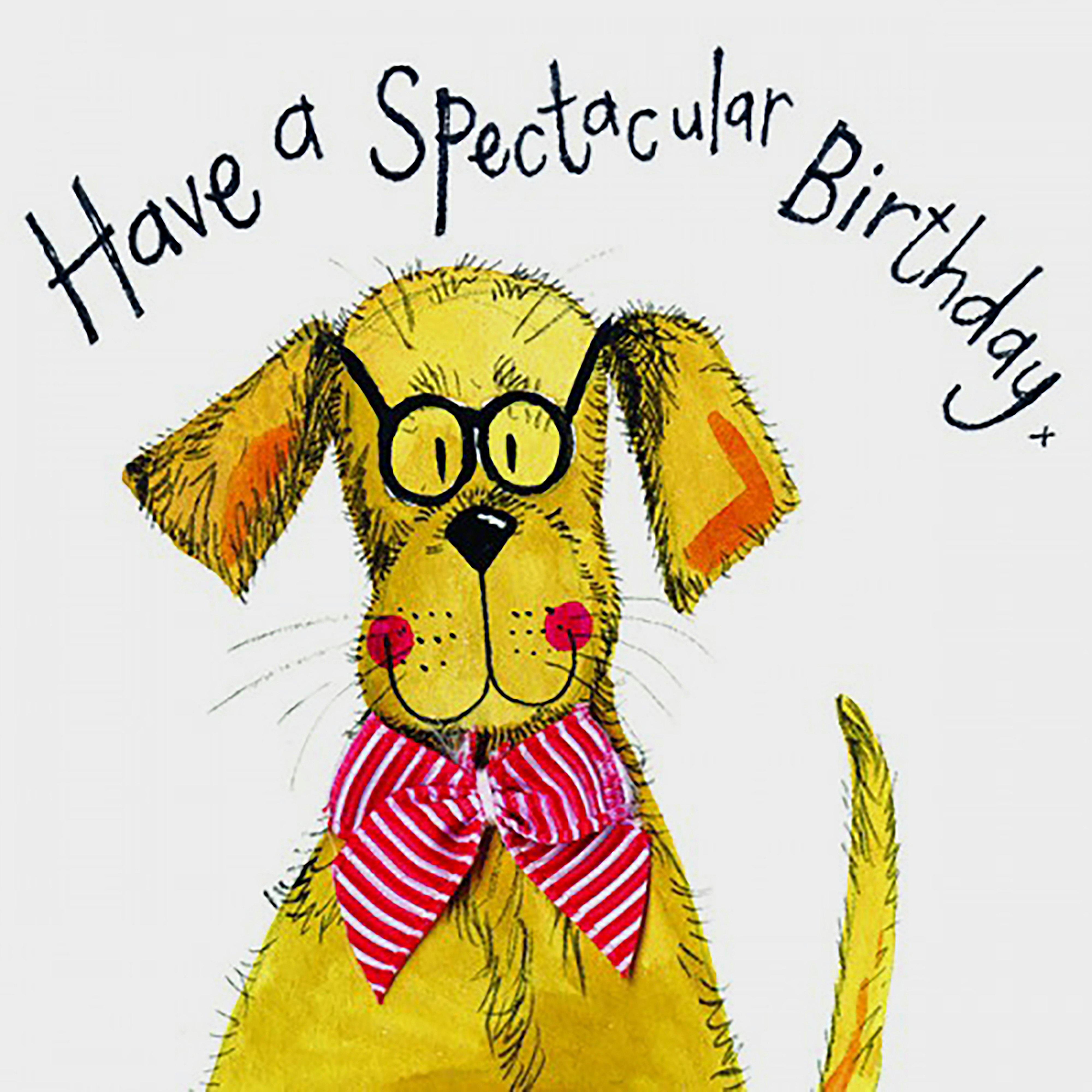 Little Sparkle Card Spectacles