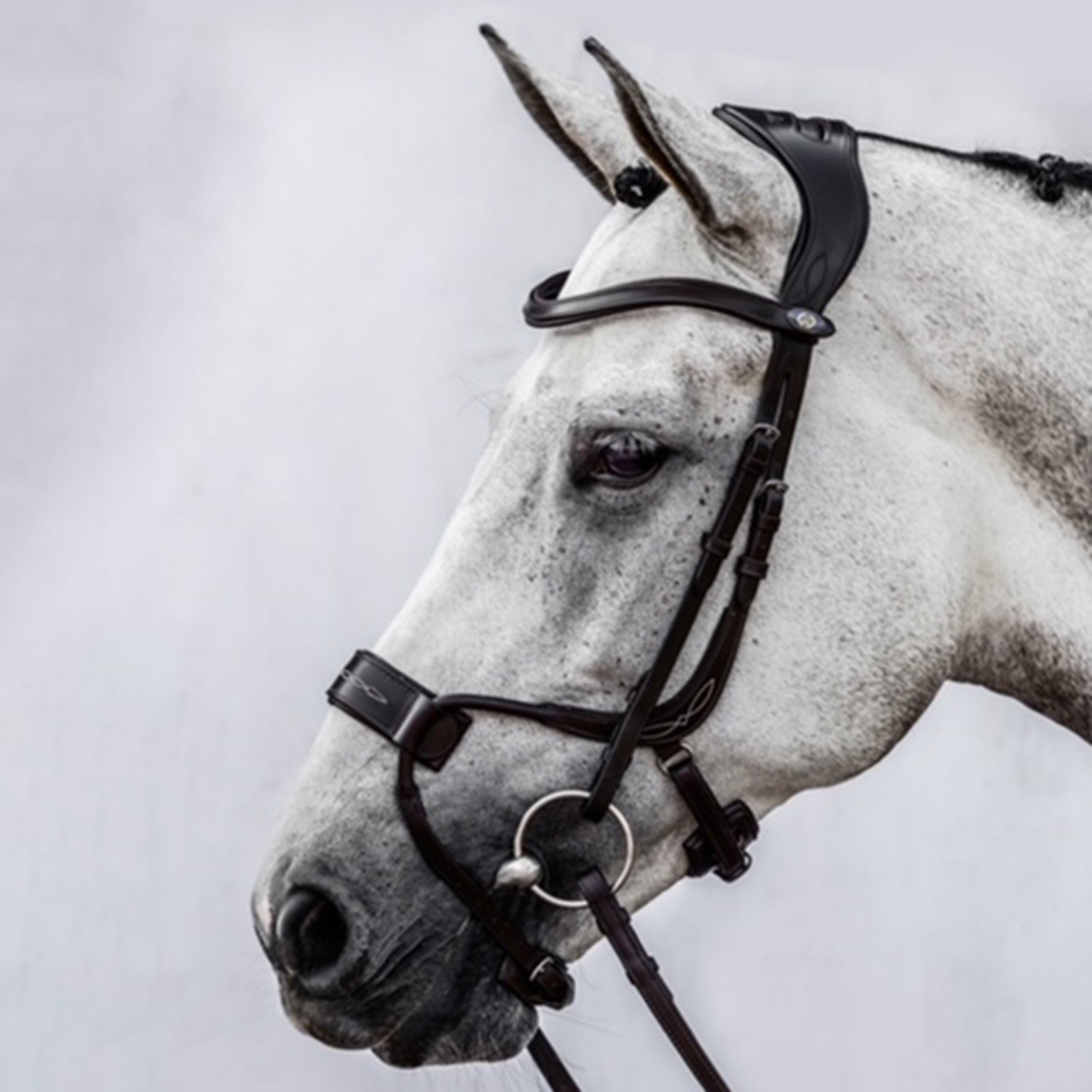 High Jump Revolution Bridle Black