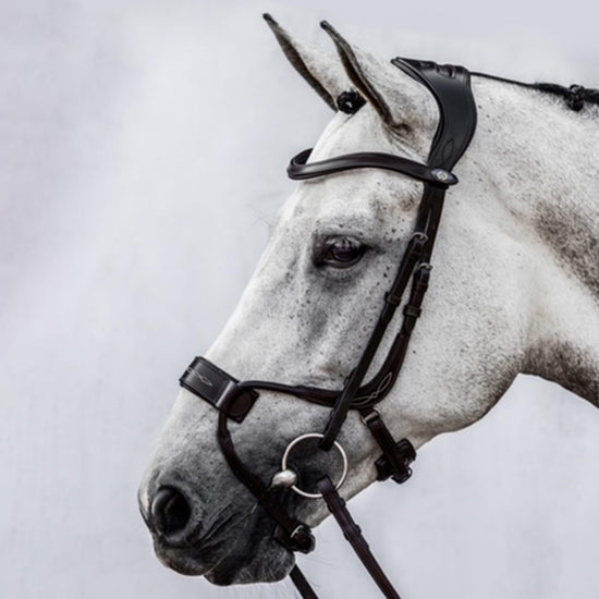 High Jump Revolution Bridle Black