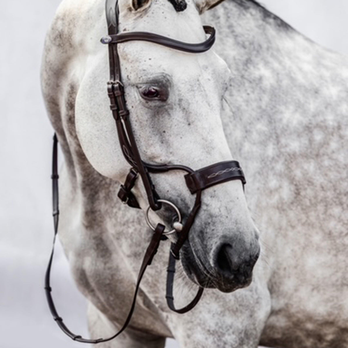 High Jump Revolution Bridle Black