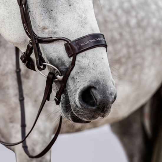 High Jump Revolution Bridle Black