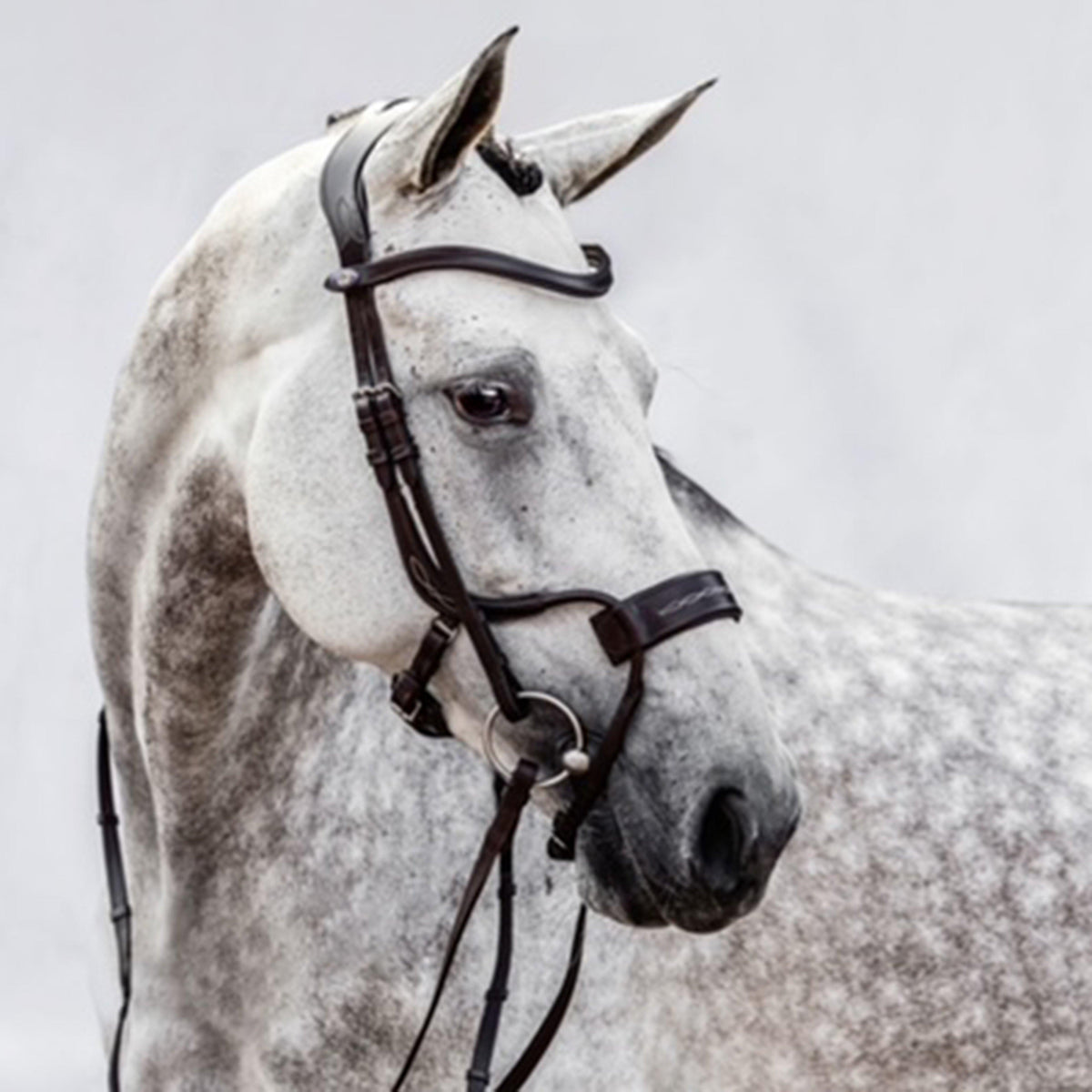 High Jump Revolution Bridle Black