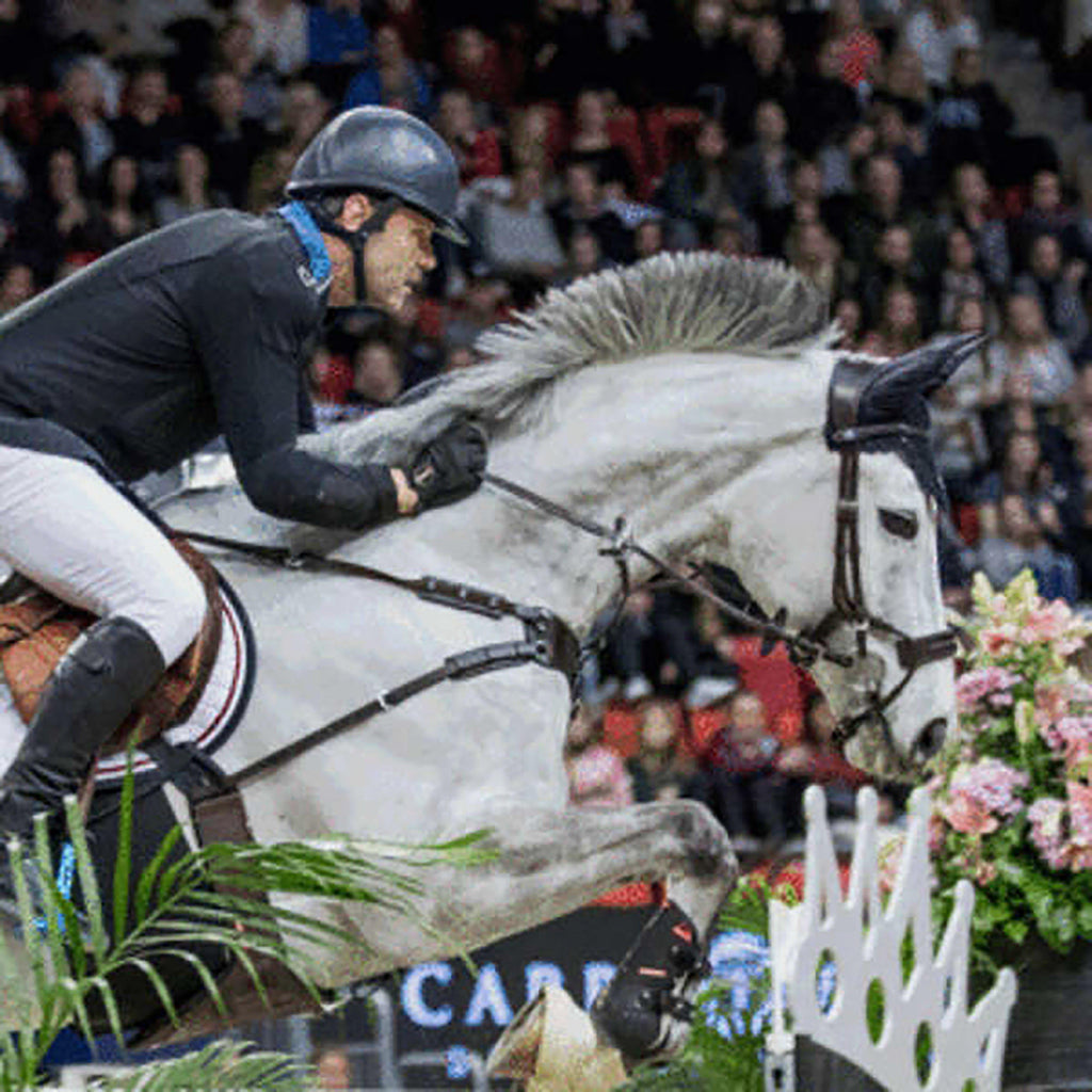 High Jump Revolution Bridle Black