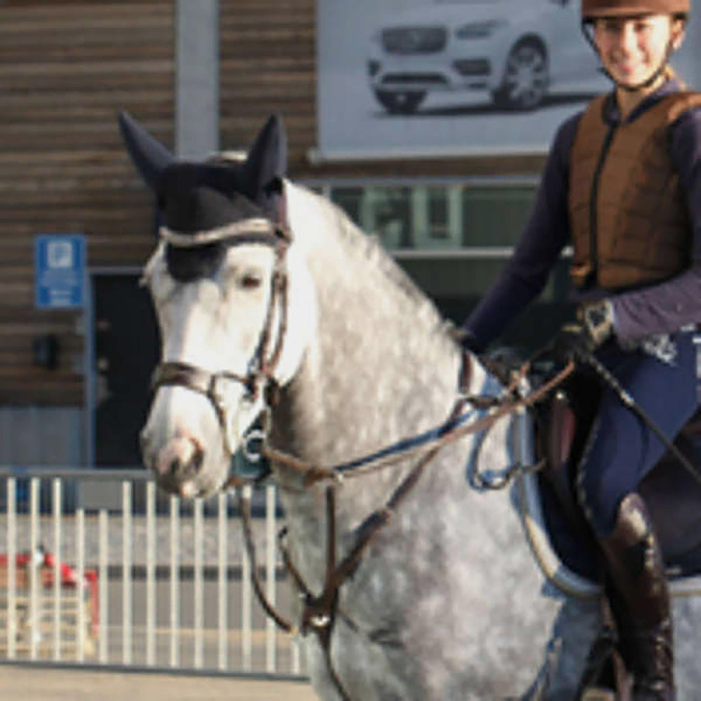 High Jump Revolution Bridle Black