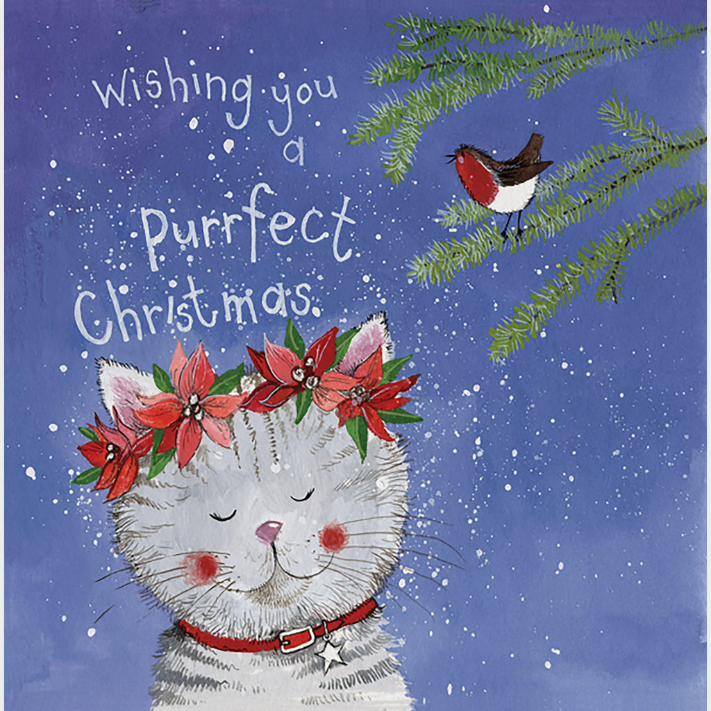 Medium Square Christmas Card 5 Pack Ivy Cat