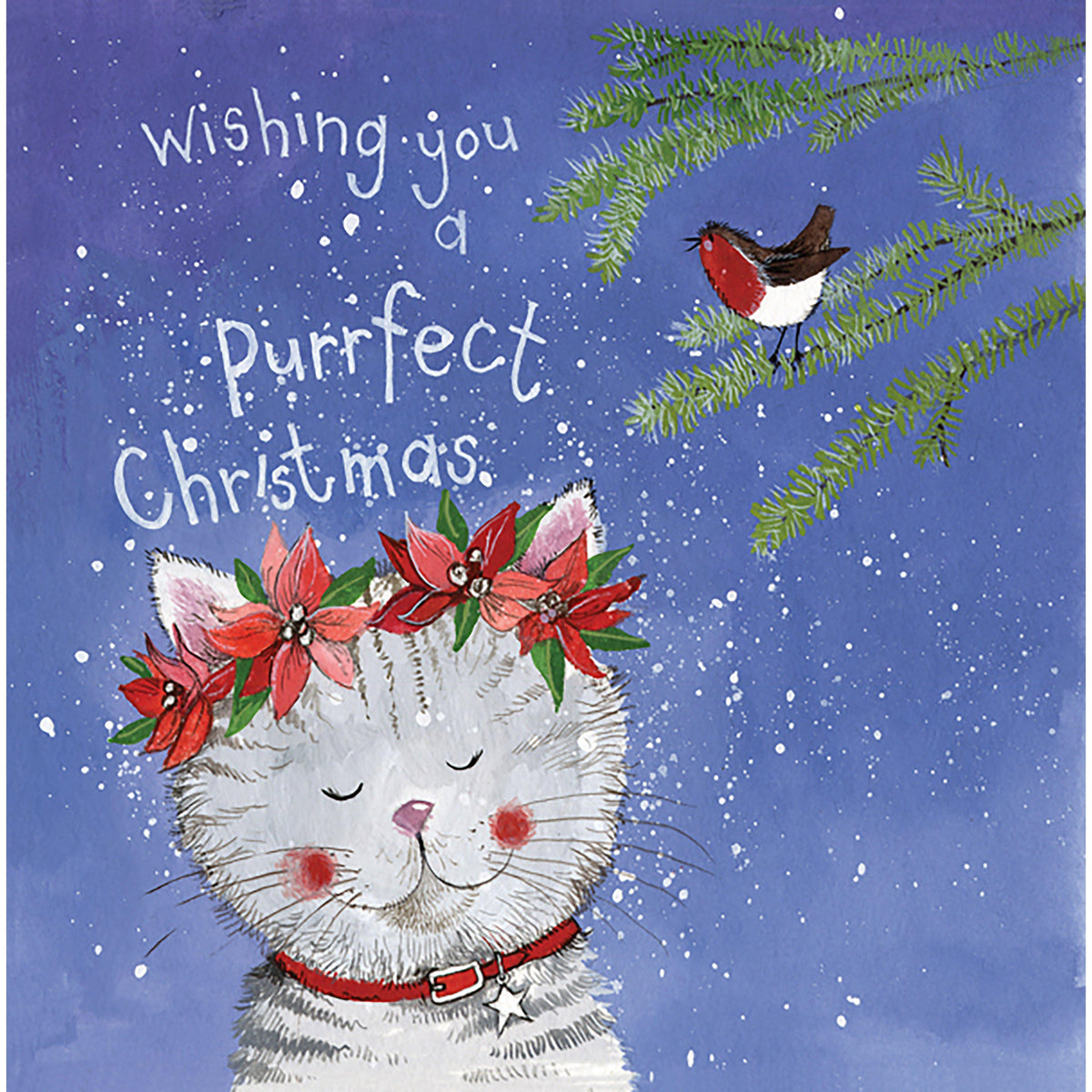 Medium Square Christmas Card 5 Pack Ivy Cat
