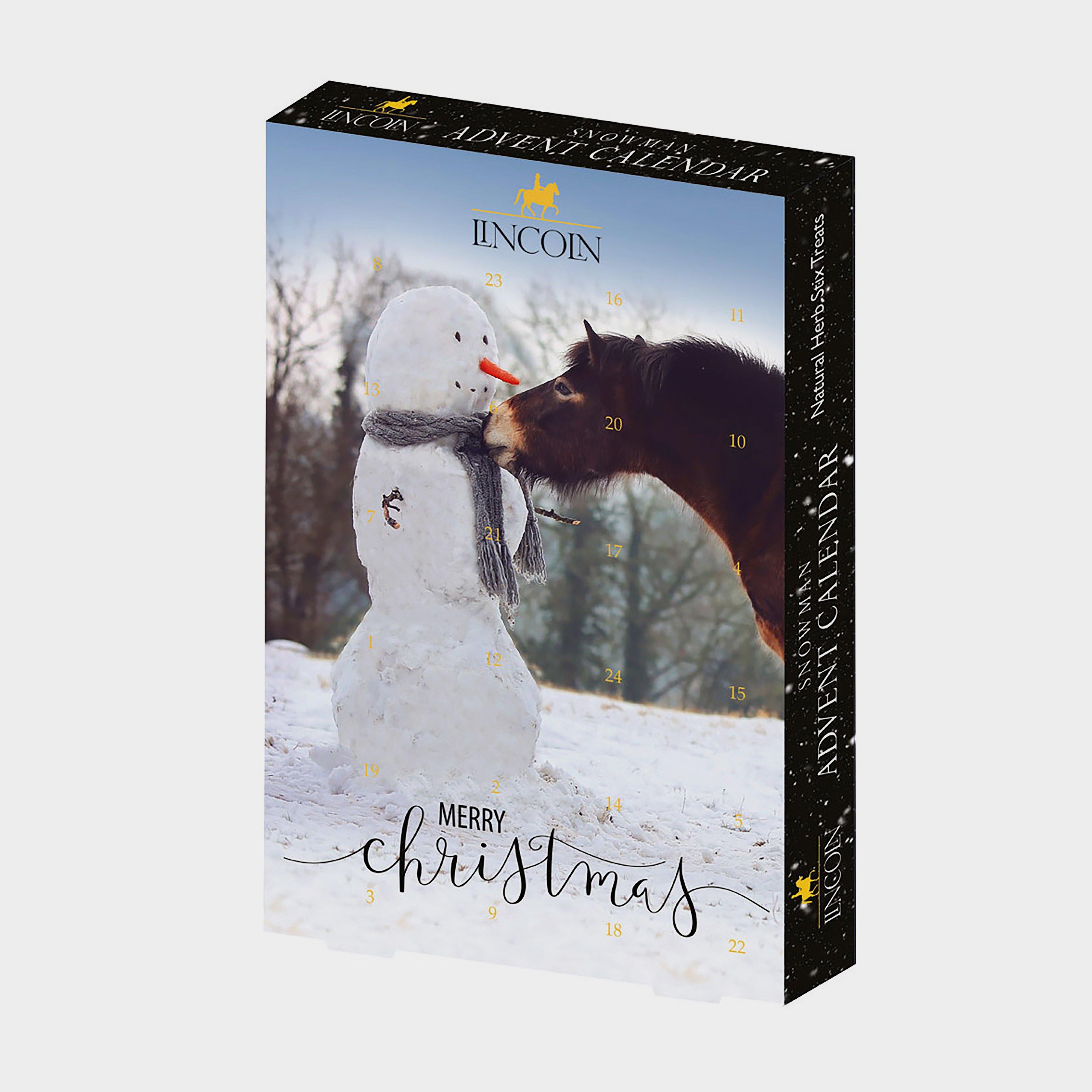 Advent Calender Snowman