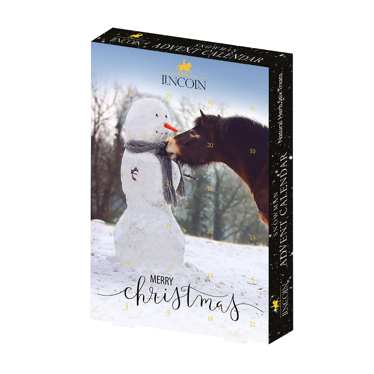 Advent Calender Snowman