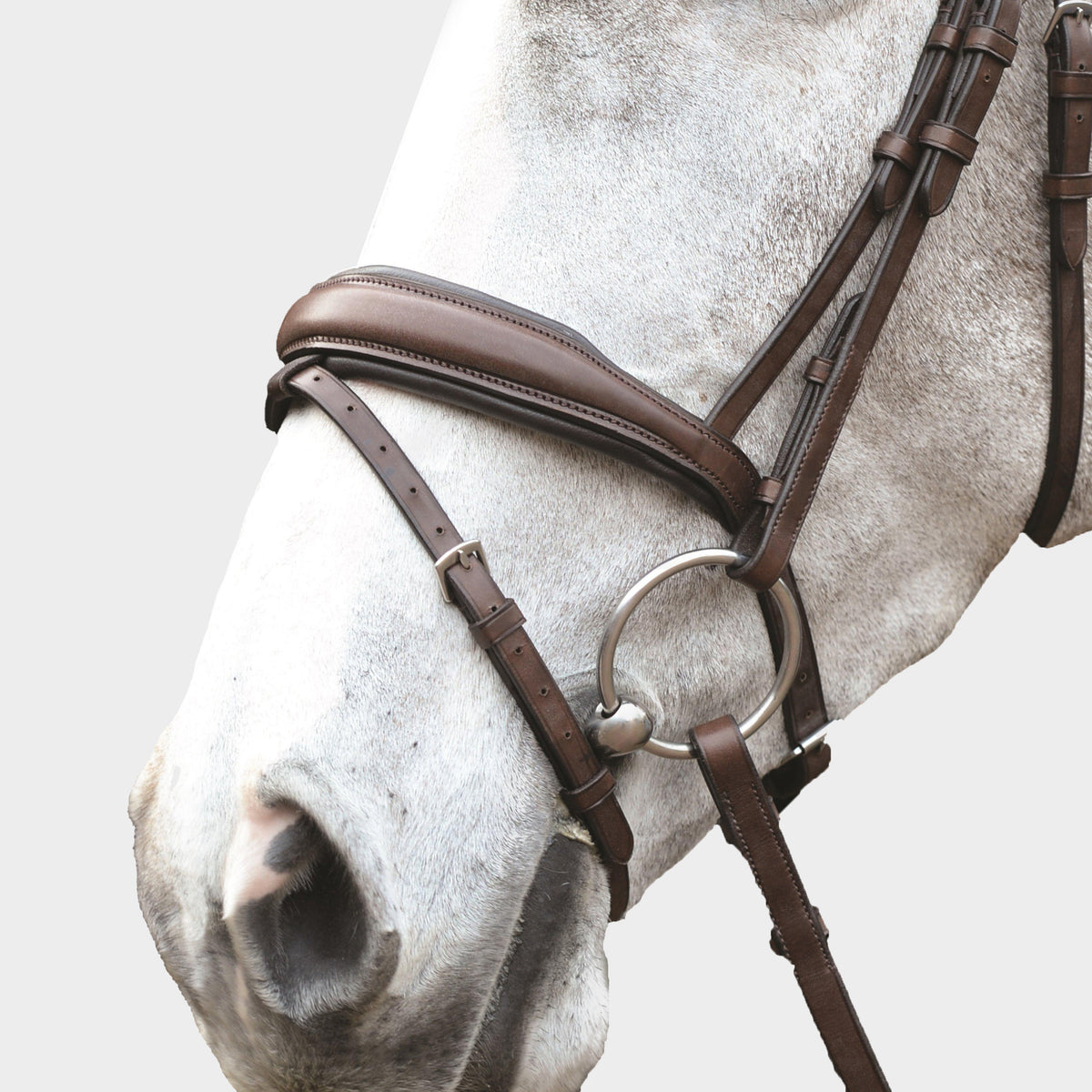 Mono Crown Padded Raised Flash Bridle Brown