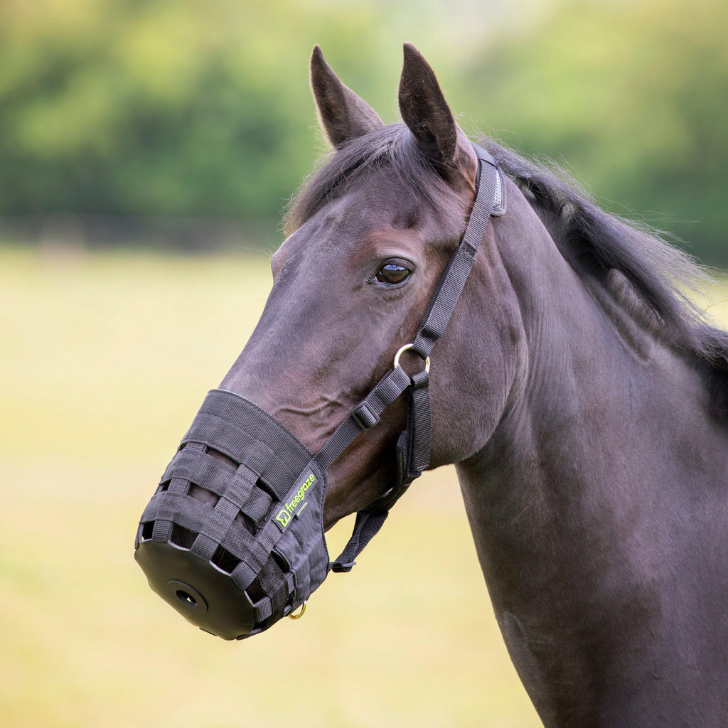 FreeGraze Comfort Grazing Muzzle Black