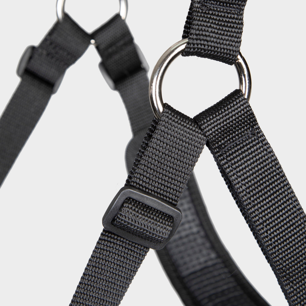 FreeGraze Comfort Grazing Muzzle Black