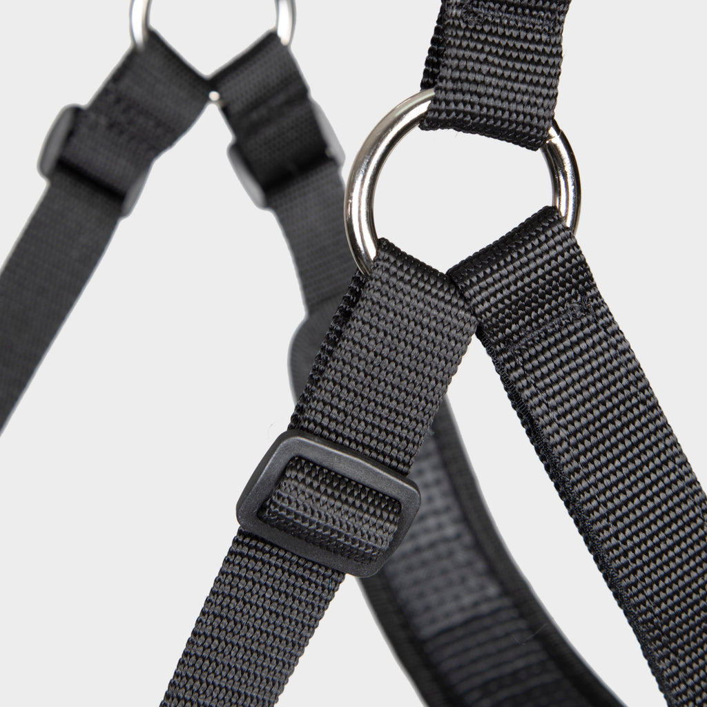 FreeGraze Comfort Grazing Muzzle Black