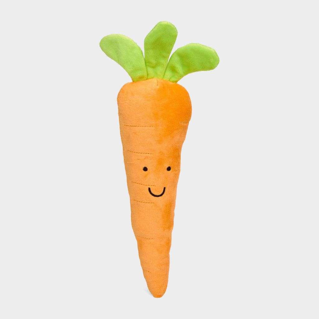 Foodie Faces Plush Carrot  Dog Toy