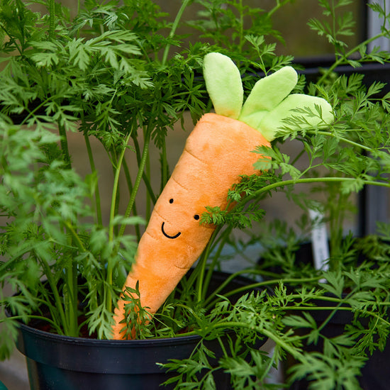 Foodie Faces Plush Carrot  Dog Toy