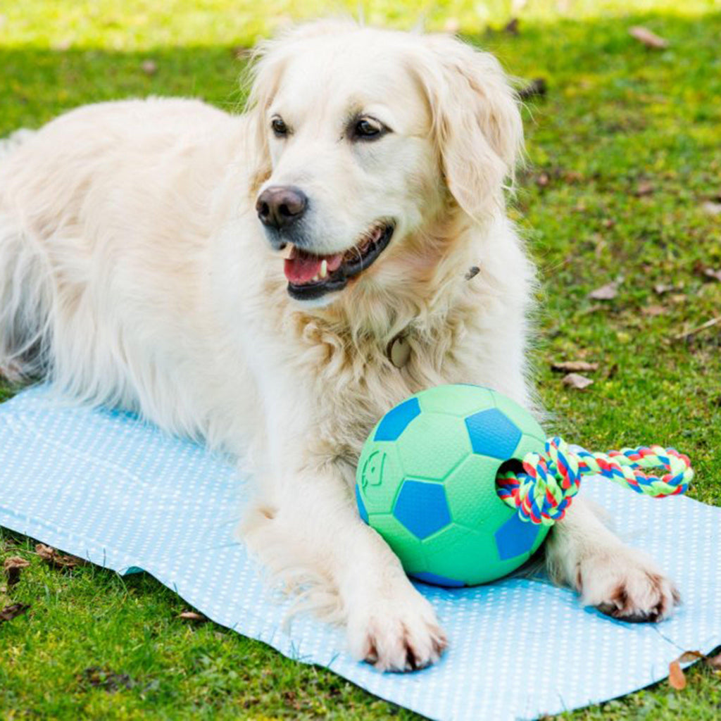 Cooling Pet Mat Blue