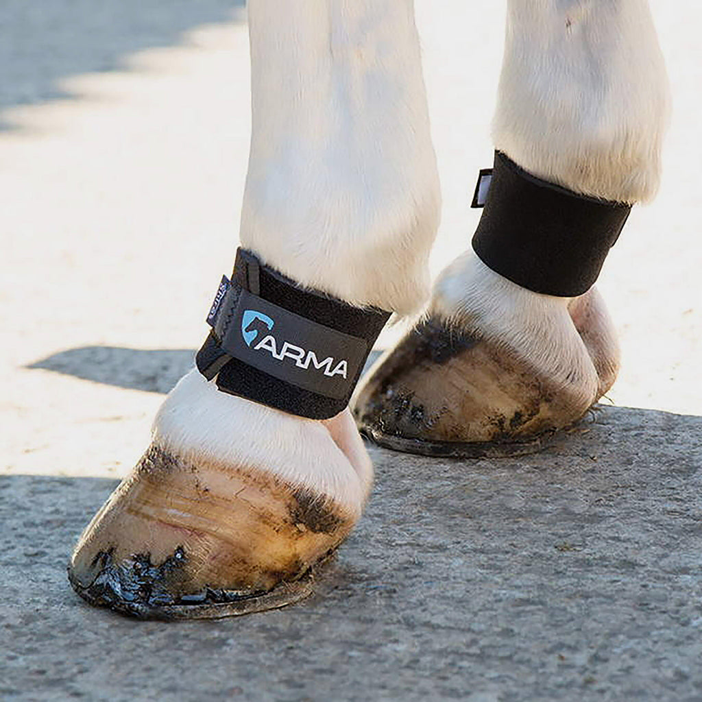 Pastern Wraps Black
