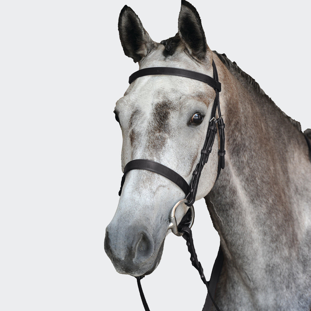 Hunt Cavesson Bridle IV Black