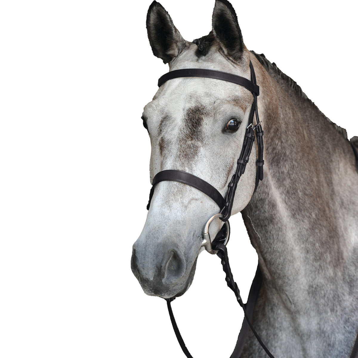 Hunt Cavesson Bridle IV Black