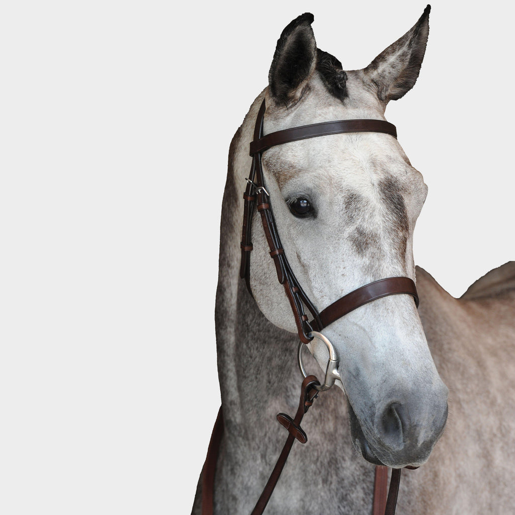 Hunt Cavesson Bridle IV Brown