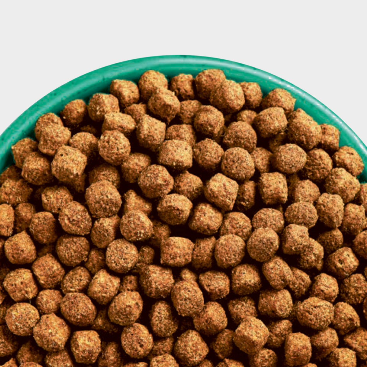 Junior Turkey & Rice Dog Food 2KG