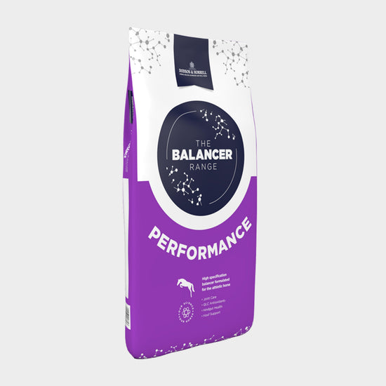 Performance Balancer