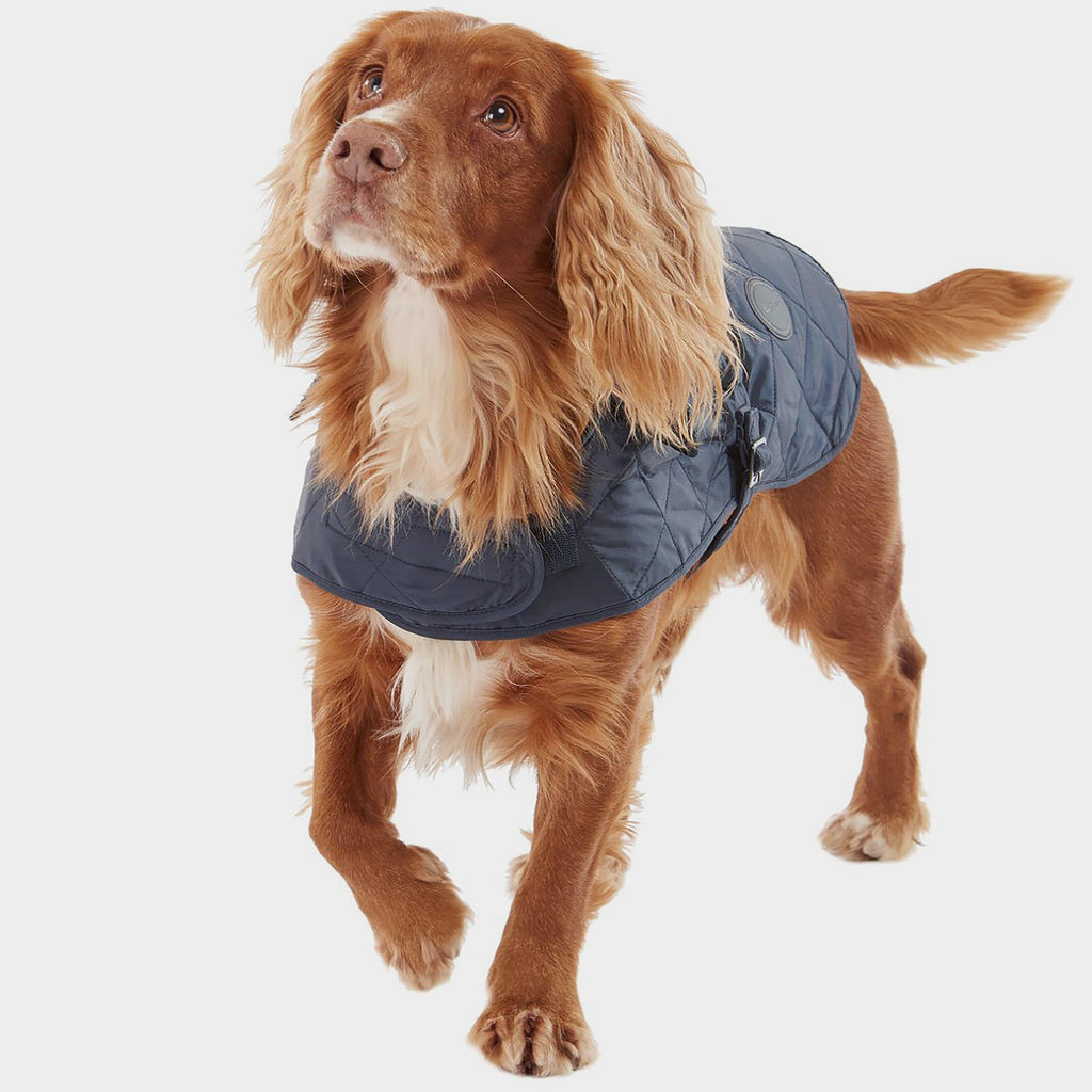 Quilted Dog Coat Navy