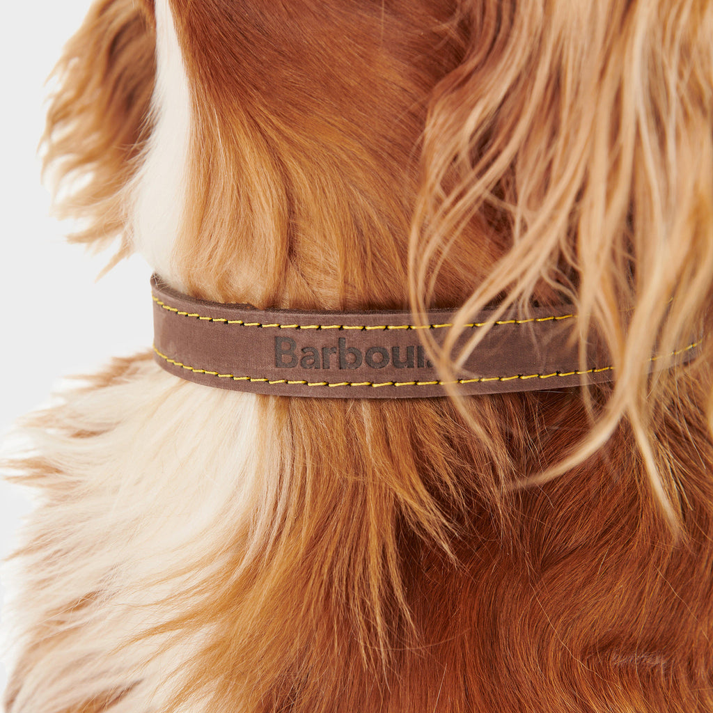 Leather Dog Collar Classic Brown
