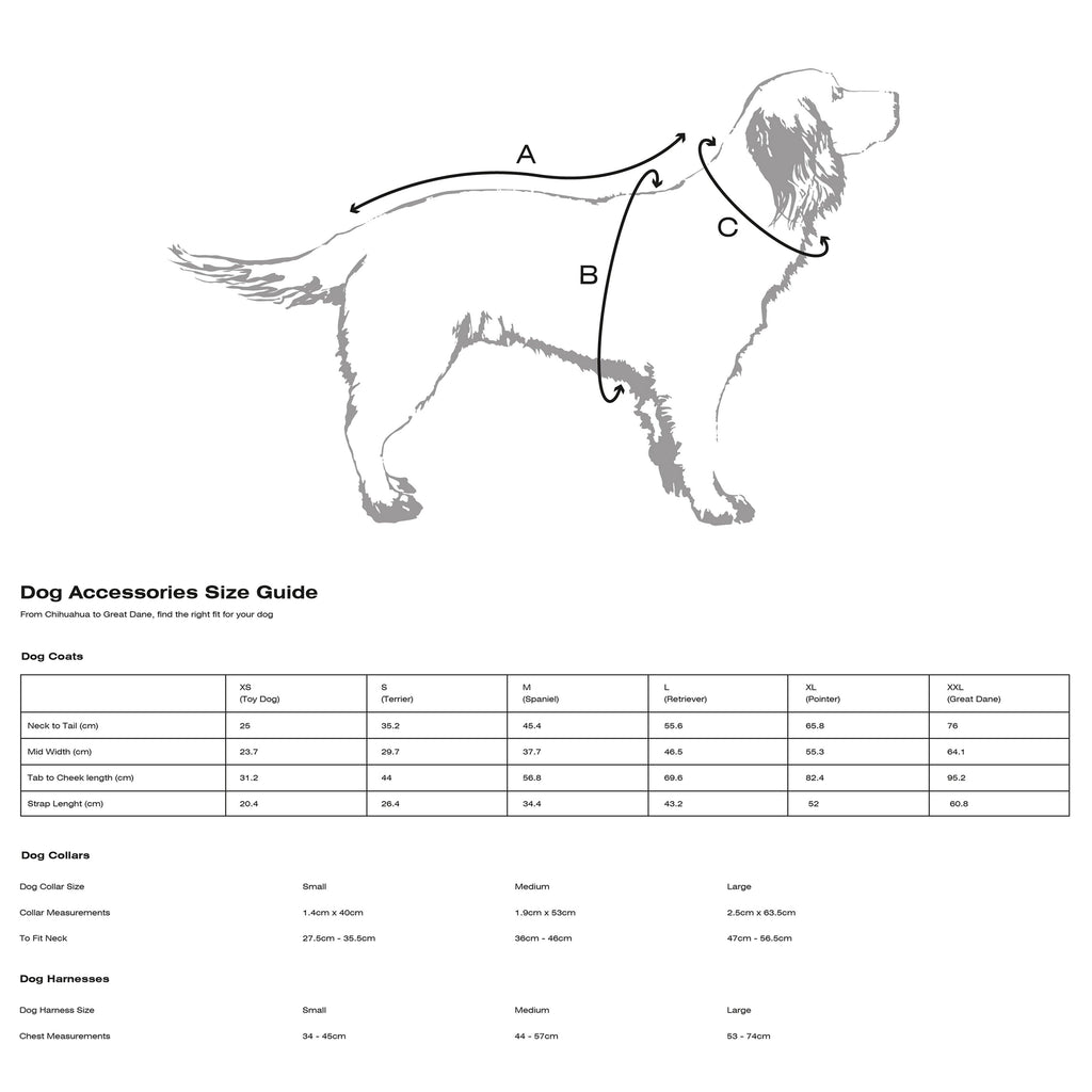 Leather Dog Collar Classic Brown