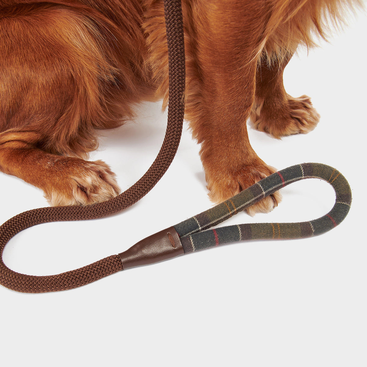 Tartan Trimmed Slip Lead Classic