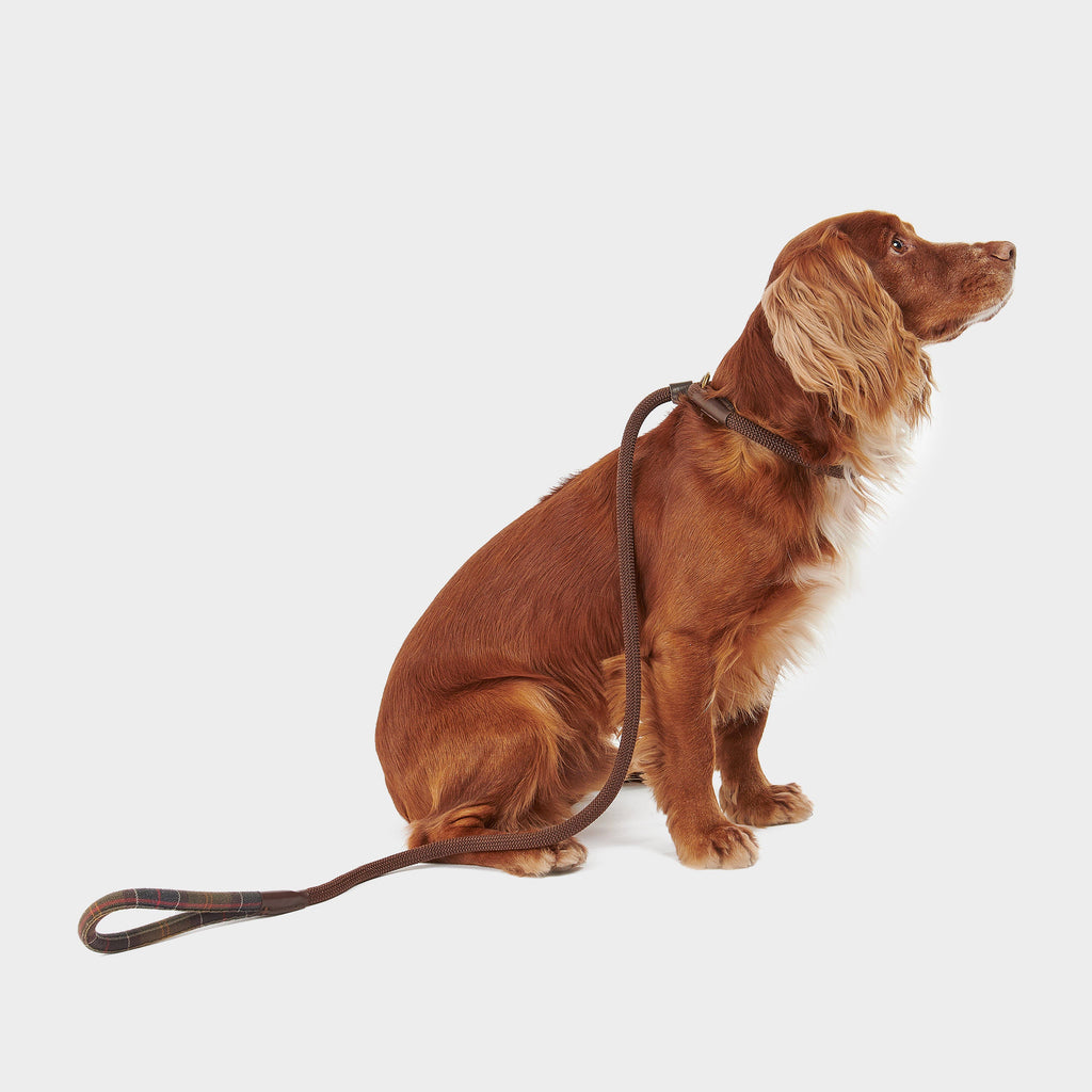 Tartan Trimmed Slip Lead Classic