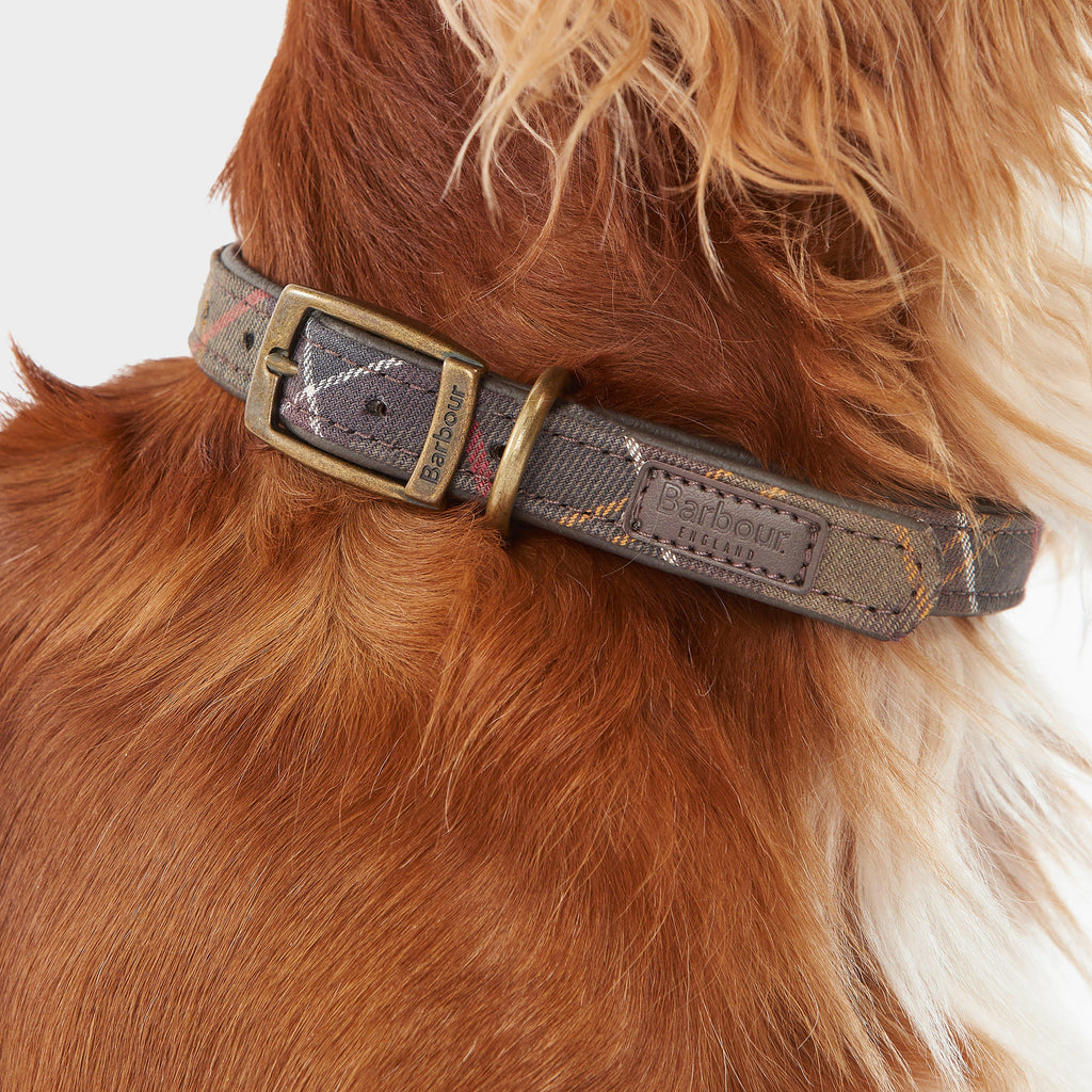 Tartan Dog Collar Classic Tartan