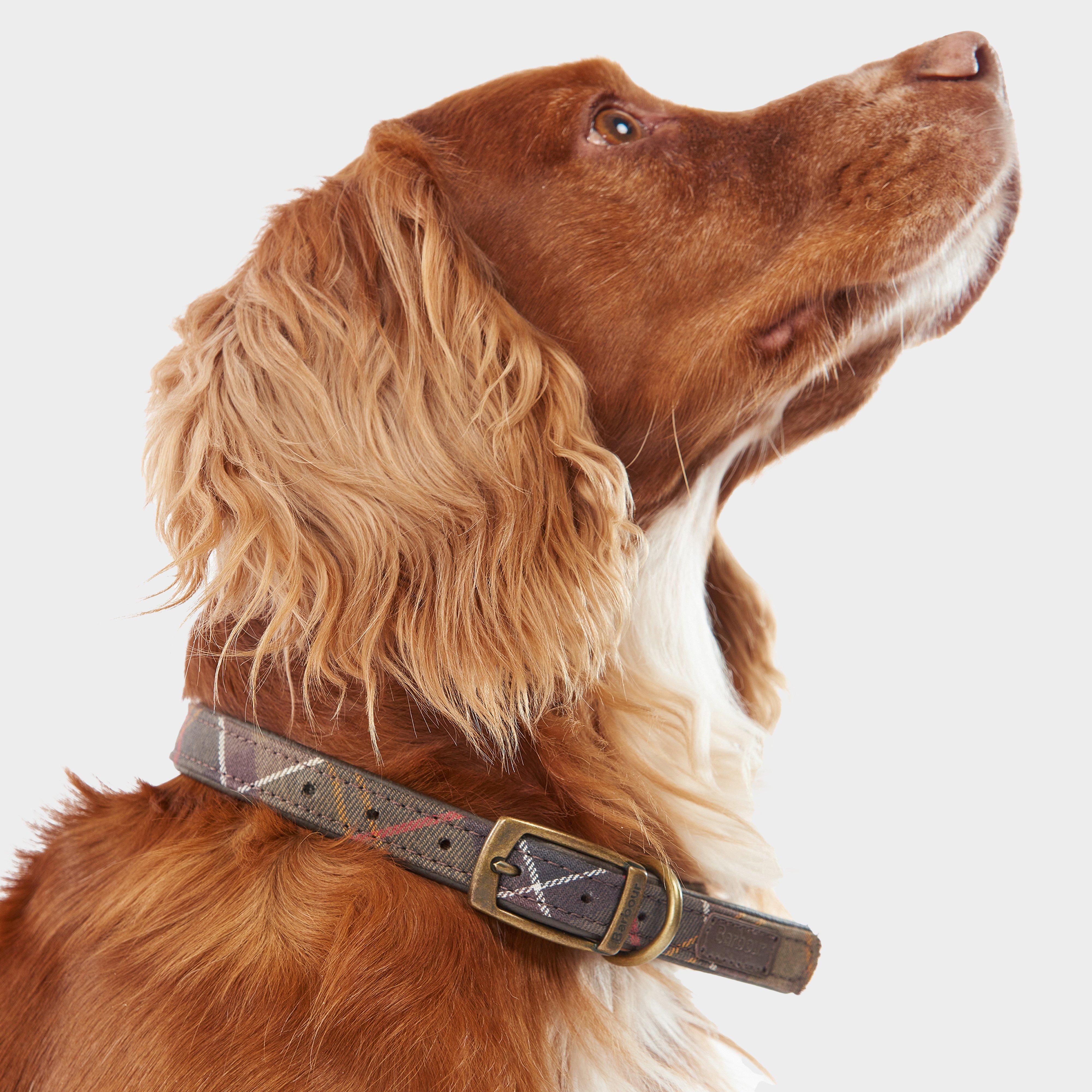 Tartan Dog Collar Classic Tartan