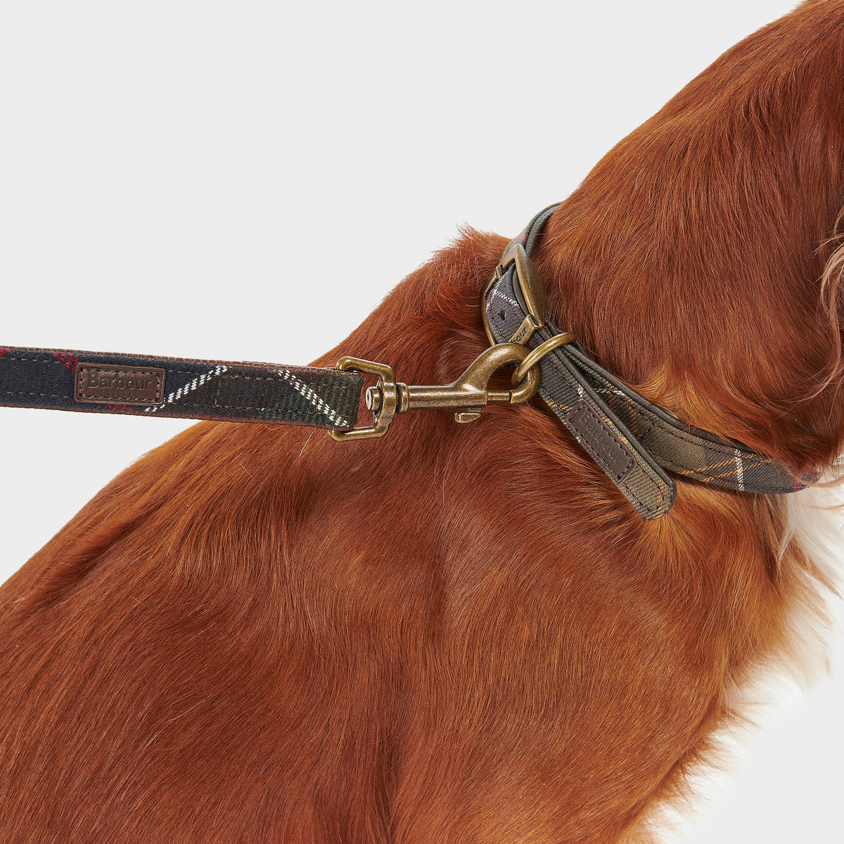 Tartan Dog Lead Classic Tartan