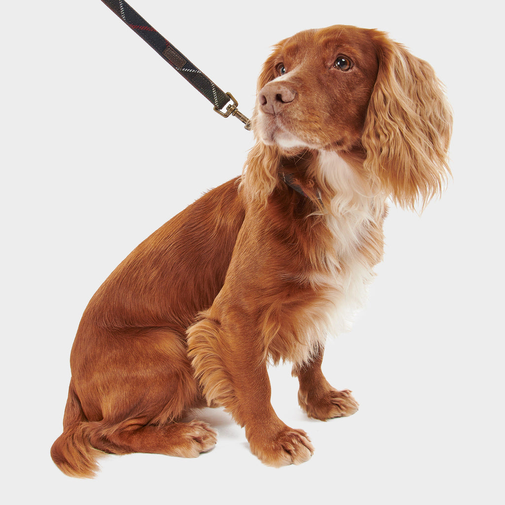 Tartan Dog Lead Classic Tartan