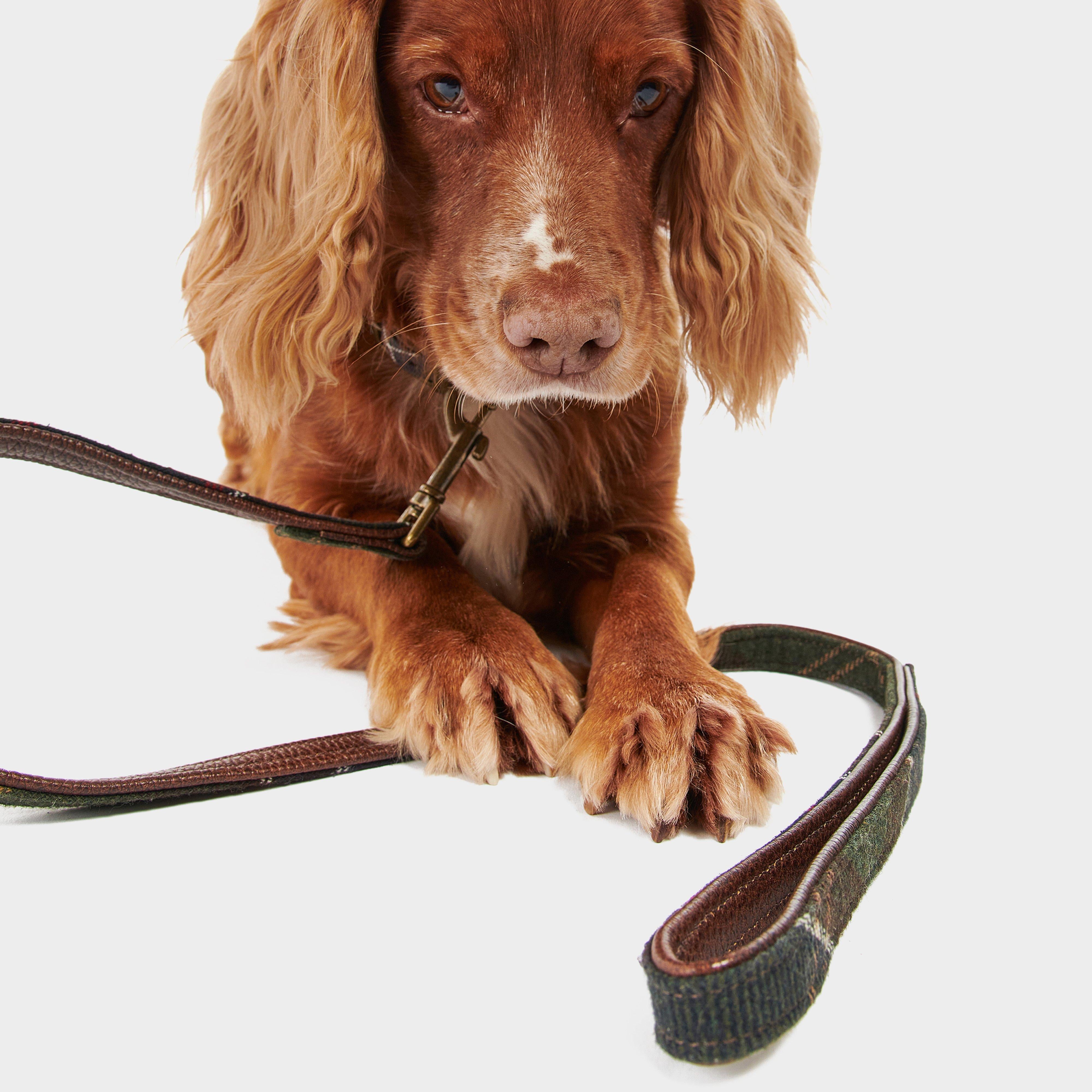 Tartan Dog Lead Classic Tartan