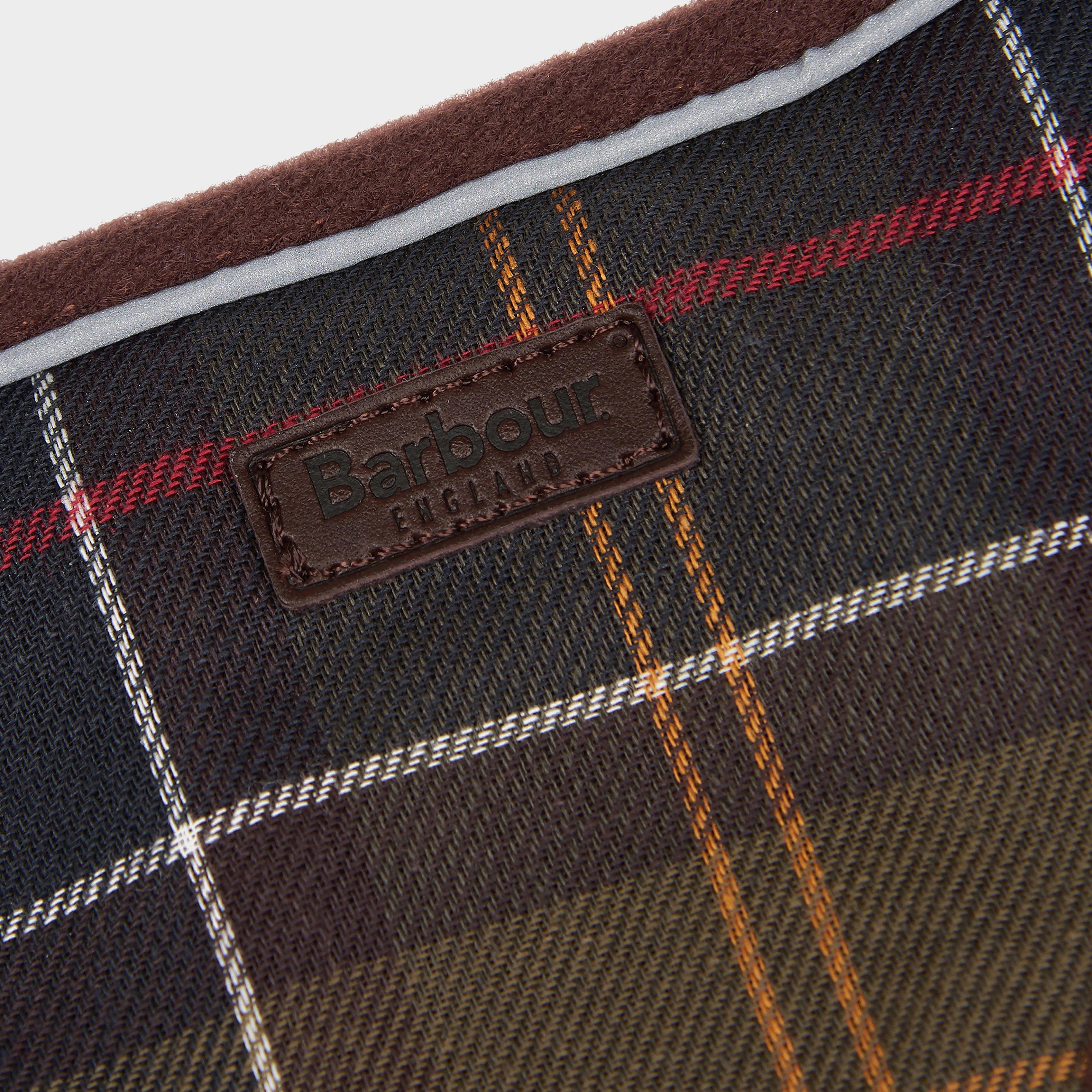 Travel & Exercise Harness Classic