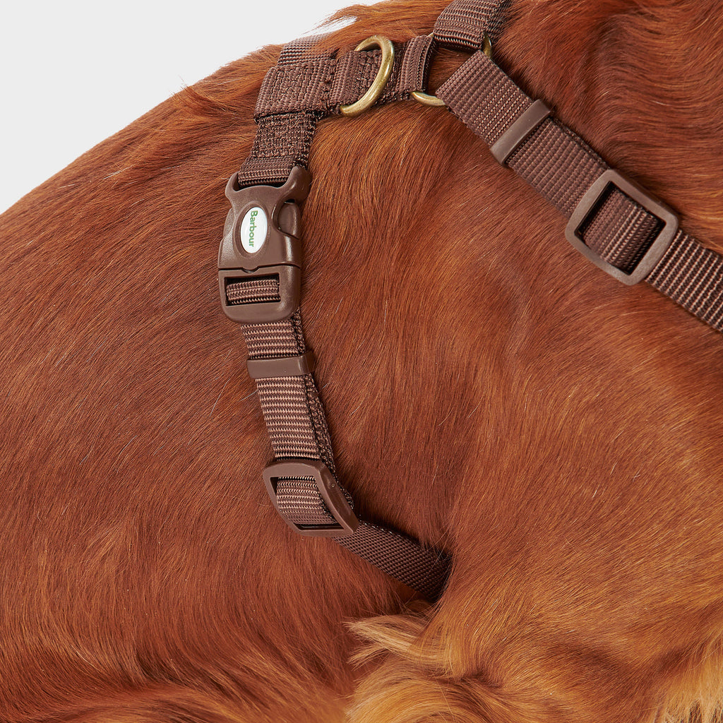 Travel & Exercise Harness Classic