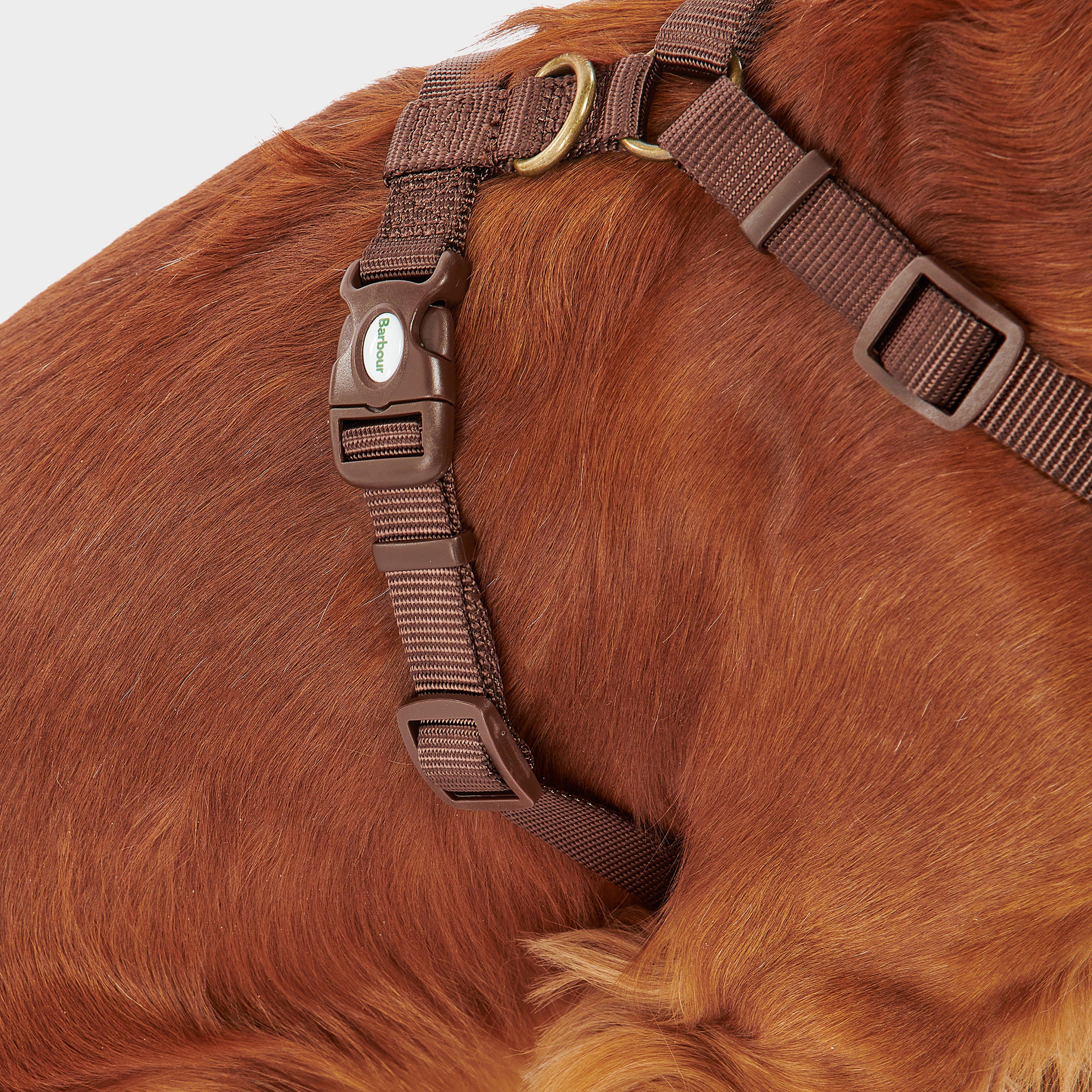 Travel & Exercise Harness Classic