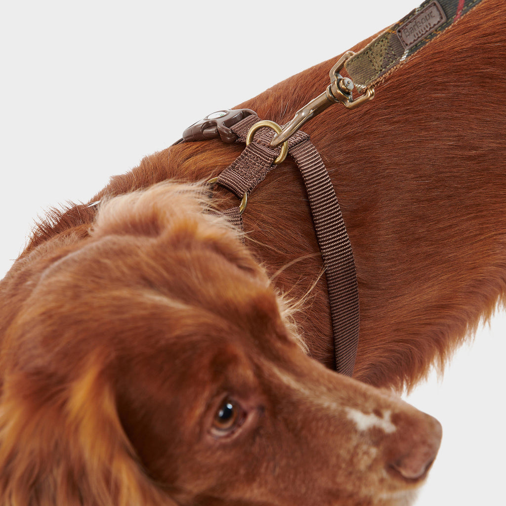 Travel & Exercise Harness Classic