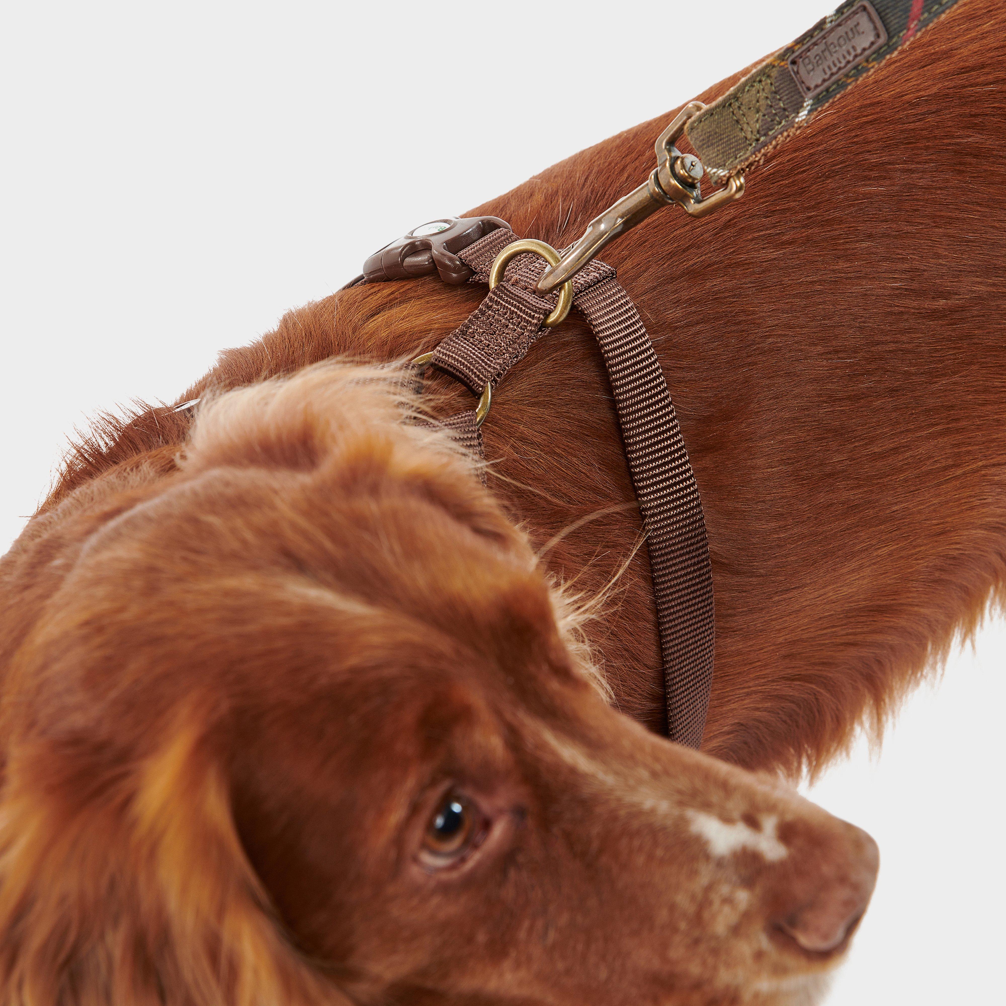 Travel & Exercise Harness Classic